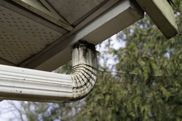 Cost of Roof Drain Replacement in Marysville
